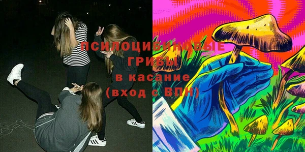 а пвп мука Алзамай