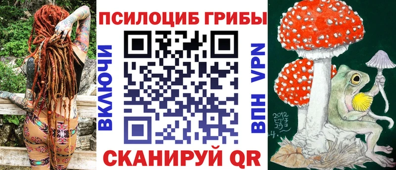 mega tor  нарко площадка телеграм  Галлюциногенные грибы Psilocybe  Ардон 
